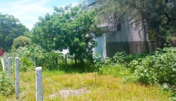 Playa Coqueta Tequesquitengo